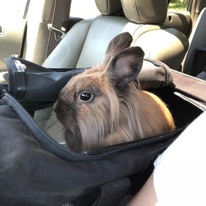 Meet your Posher, Meagan